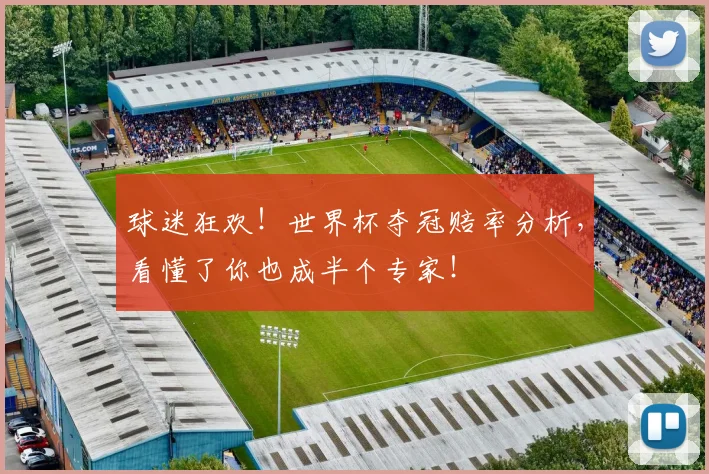 球迷狂欢！世界杯夺冠赔率分析，看懂了你也成半个专家！